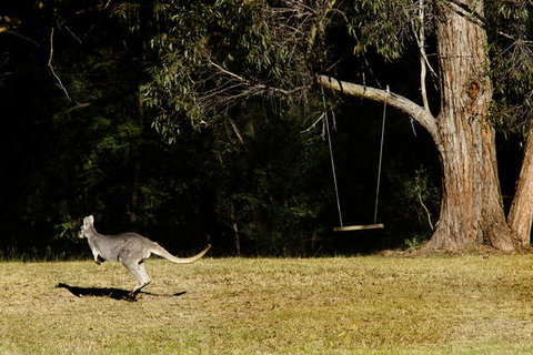 Cottages On Mount View - New South Wales Tourism  1