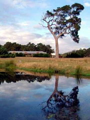 Craythorne Country House Metricup - New South Wales Tourism  4