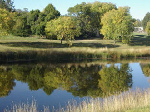 Bombala Caravan Park - New South Wales Tourism  1