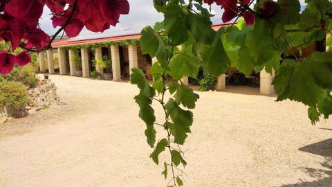 Corinium Roman Villa - New South Wales Tourism  5