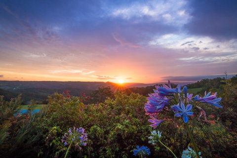 Blue Summit Cottages - New South Wales Tourism  1