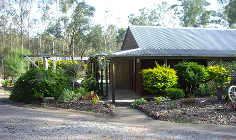 Barambah Bush Caravan & Camping Park - New South Wales Tourism  0