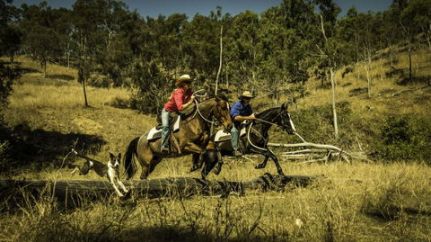 Australian Working Adventures / Visitoz - New South Wales Tourism  3