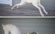 Pillar Rock Farm, Guesthouse & Weddings - thumb 10