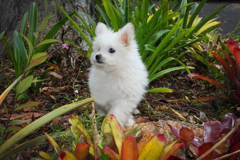 Mapleton Cabins & Caravan Park - New South Wales Tourism  2