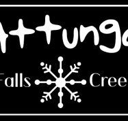 Attunga Falls Creek - New South Wales Tourism 