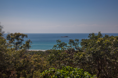 Grass Trees On Straddie - New South Wales Tourism  4