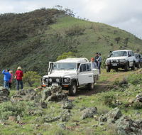 Catninga Farm Stay BB - New South Wales Tourism 