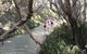 Pippies Fraser Island Tours - thumb 0