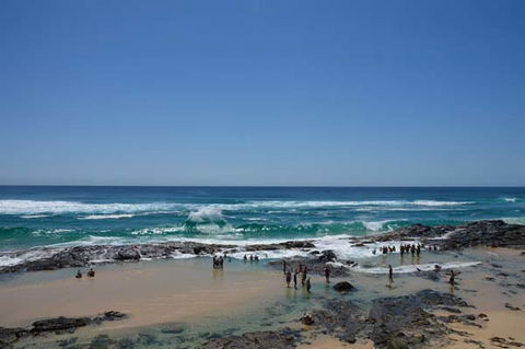 Pippies Fraser Island Tours - New South Wales Tourism  1