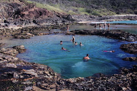 Pippies Fraser Island Tours - New South Wales Tourism  5