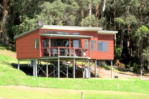Karrak Reach Forest Retreat - New South Wales Tourism  2