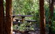 Karrak Reach Forest Retreat - thumb 4