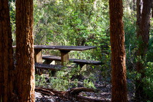 Karrak Reach Forest Retreat - New South Wales Tourism  4