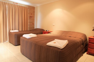 Emerald Central Palms Motel - New South Wales Tourism  23