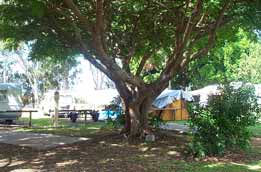 Donnybrook Caravan Park - New South Wales Tourism  1