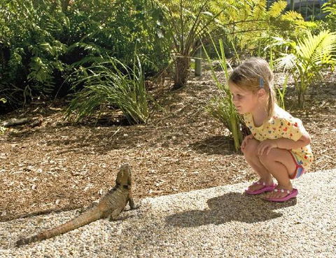 Flynns Beach Resort - New South Wales Tourism  3