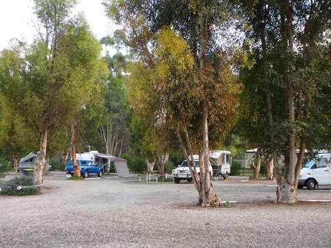 Gladstone Caravan Park - New South Wales Tourism  3