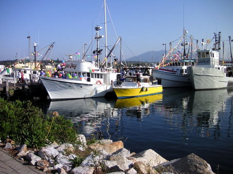 White Lanterns Motel - New South Wales Tourism  1
