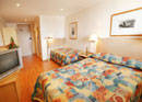 Haven Glebe, Sydney - New South Wales Tourism  3