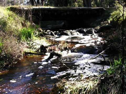 Hidden Grove Retreat - New South Wales Tourism  4