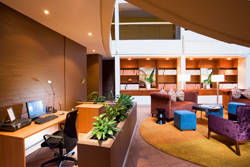 Holiday Inn Old Sydney - New South Wales Tourism  5