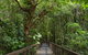 Hotel Grand Chancellor Palm Cove - thumb 1