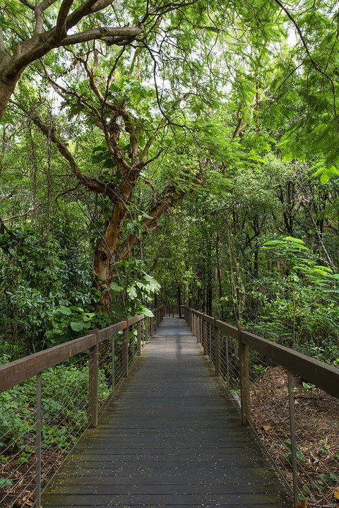Hotel Grand Chancellor Palm Cove - New South Wales Tourism  1