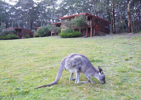 Jenolan Caves Cottages - New South Wales Tourism  0
