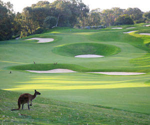 Connolly WA New South Wales Tourism 