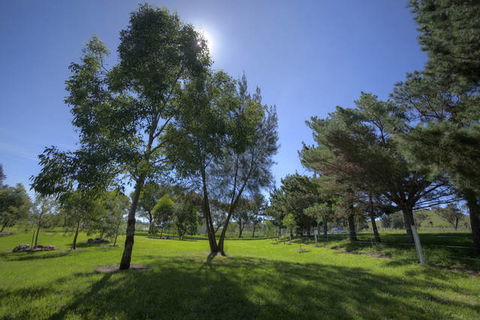 Killarney View Cabins And Caravan Park - New South Wales Tourism  4
