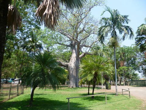 Kimberleyland Waterfront Holiday Park - New South Wales Tourism  3