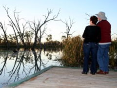 Kingston-On-Murray Caravan Park - New South Wales Tourism  2