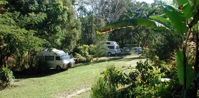 Kuranda QLD New South Wales Tourism 