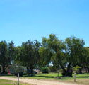 Lockhart Caravan Park - New South Wales Tourism 