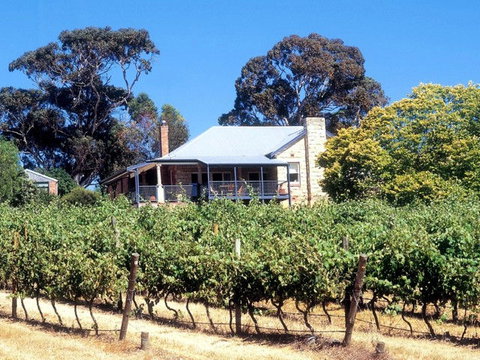 Longview Vineyard - New South Wales Tourism  0