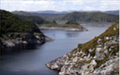 Maydena Country Cabins And Alpacas - New South Wales Tourism  1
