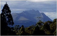 Maydena Country Cabins And Alpacas - New South Wales Tourism  3