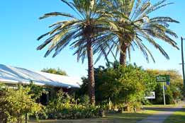 Merino Motor Inn - New South Wales Tourism  0