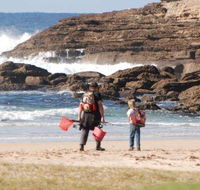 Merry Beach Caravan Resort - New South Wales Tourism 