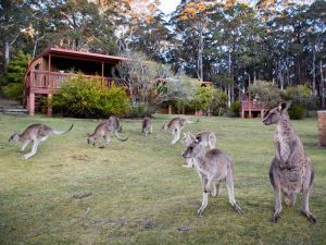 Jenolan Caves Cottages - New South Wales Tourism  1