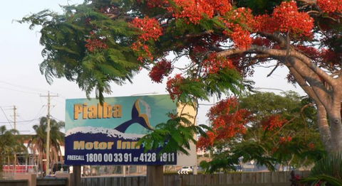 Pialba Motor Inn - New South Wales Tourism  1