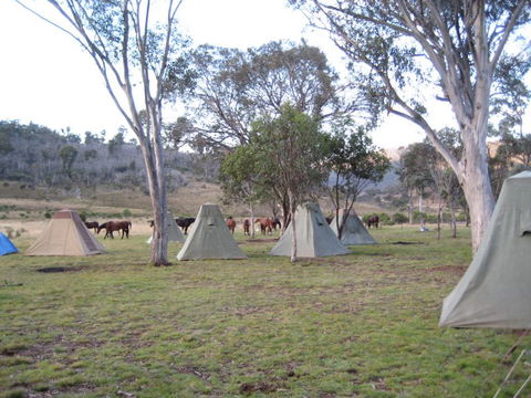 Reynella Kosciusko Rides Homestead - New South Wales Tourism  3