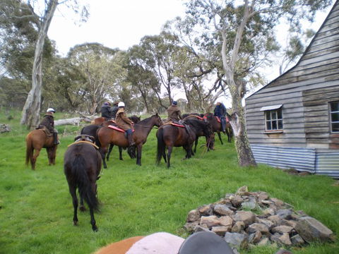 Reynella Kosciusko Rides Homestead - New South Wales Tourism  10
