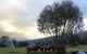 Reynella Kosciusko Rides Homestead - thumb 9