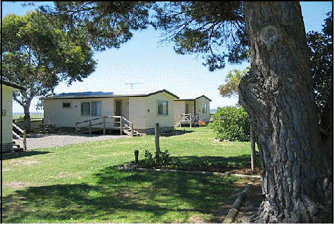 Millicent Hillview Caravan Park - New South Wales Tourism  1