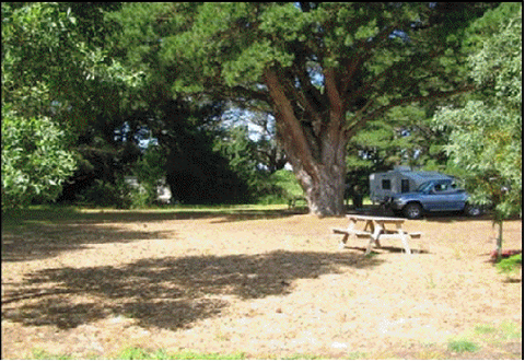 Millicent Hillview Caravan Park - New South Wales Tourism  4