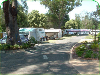 Mittagong Caravan Park - New South Wales Tourism  1