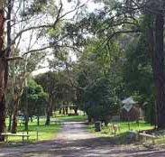 Moe Gardens Caravan Park - New South Wales Tourism 