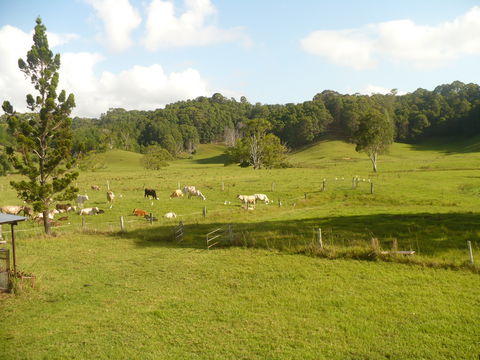 Mooyabil Farm Holidays - New South Wales Tourism  6